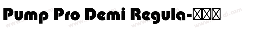 Pump Pro Demi Regula字体转换